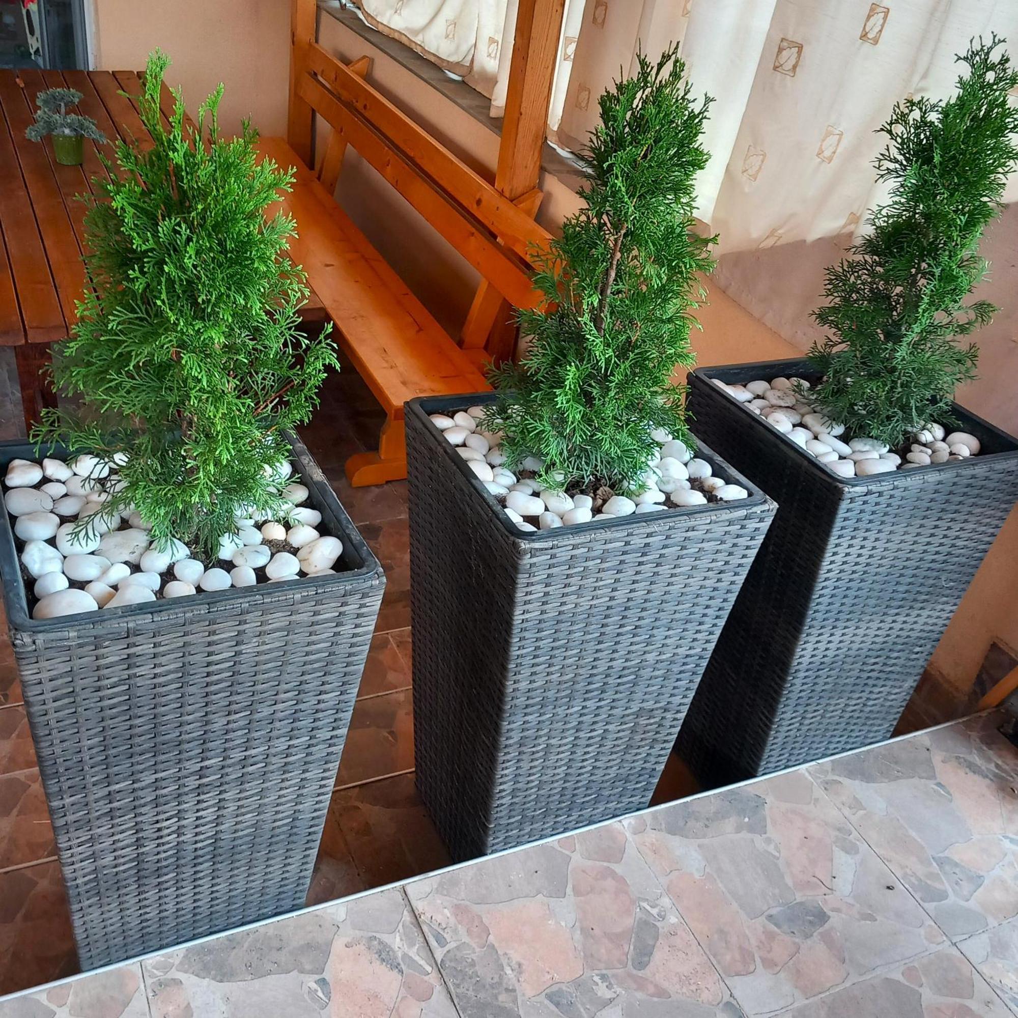 ספרבה בניה Vibo Guesthouse מראה חיצוני תמונה